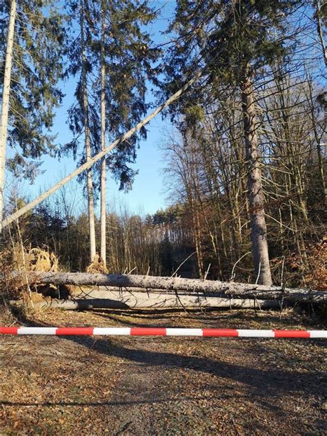 Nach Sturmtief Zoltan Im Wald Droht Weiterhin Gefahr