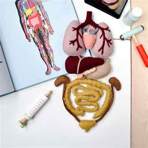 Human Body Felt Etsy
