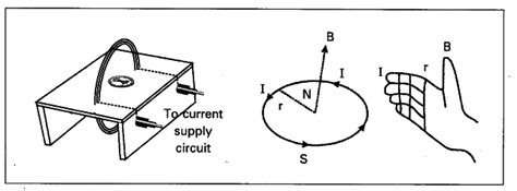 Explain the direction of magnetic field due to circular coil - CBSE ...