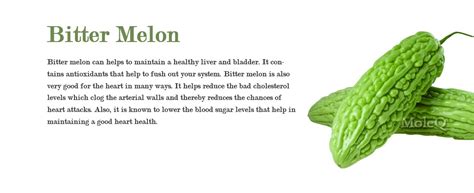 Bitter Melon Moleq Inc Food Information