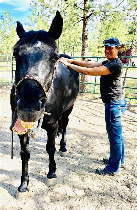 Why equidase is the most surprising tool for equine care 3