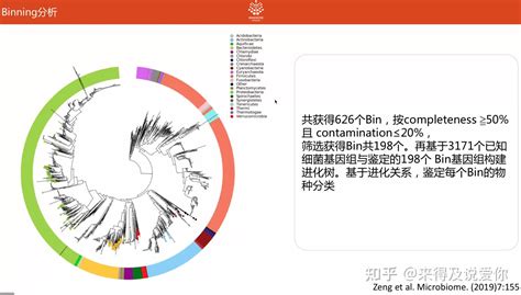 宏基因组分析流程实操理论 知乎