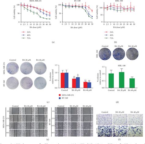 Figure From Betulinic Acid Suppresses Breast Cancer Metastasis By