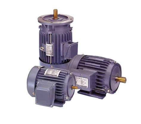 Ac Induction Electric Motors Manufacturer Adlee