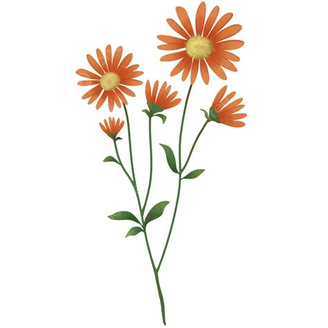 Hand Drawn Flowers White Transparent Hand Drawn Orange Spring Flower