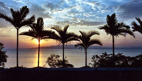 Love Round Hill Jamaica Seaside Cottage Palm Trees In Your Front