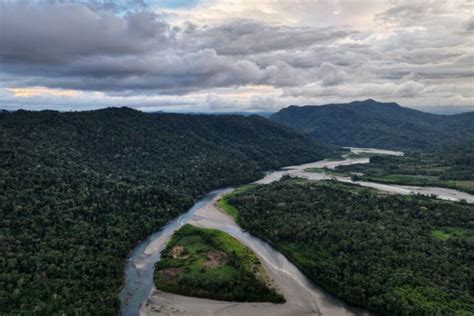 Forest conservation efforts in Peru are failing across the board, study ...