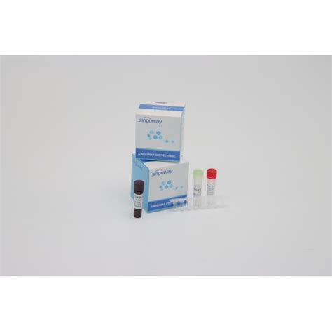 PCR Detection Kit HBV HCV Real Time PCR Detection Kit PCR