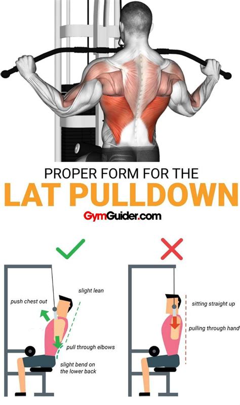 lat pulldown machine muscles worked - Krystle Creighton