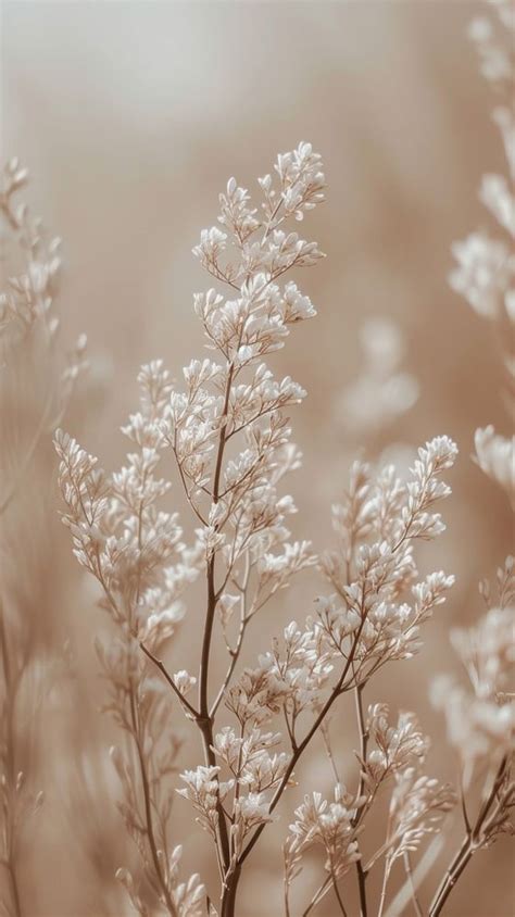 Aesthetic beige photo outdoors blossom nature. | premium image by ...