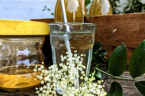 The Best Homemade Elderflower Cordial The Gardenistas