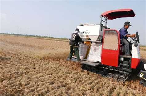 In Field Rice Straw Management Irri Rice Knowledge Bank