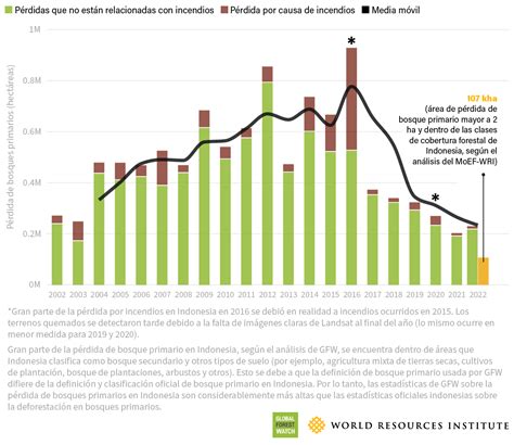 Empeoró La Pérdida De Bosques Tropicales Primarios en 2022 GFW Blog