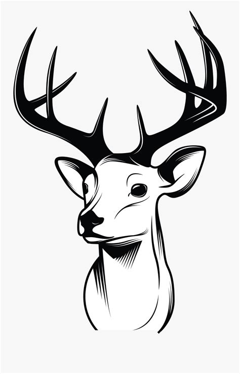 Deer Face Drawing Cartoon , Transparent Cartoons - Simple Easy Deer ...