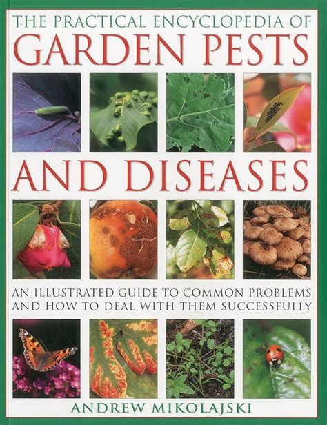 Rhs Pests Diseases New Edition Plant By Plant Advice 56 Off