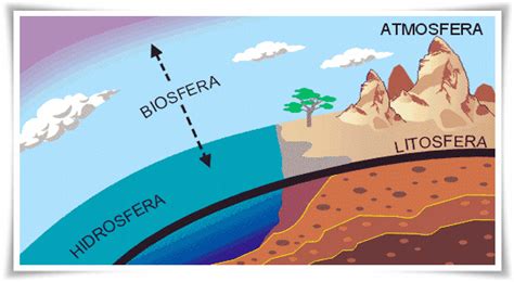 Atmosfera Sapiente A Biosfera