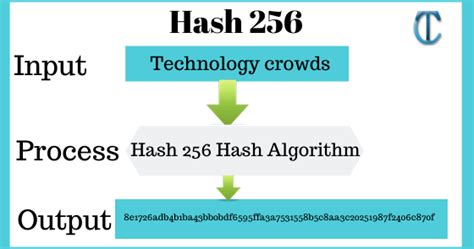 Sha 256 Compute A Sha 256 Hash Using C For Effective Security Net