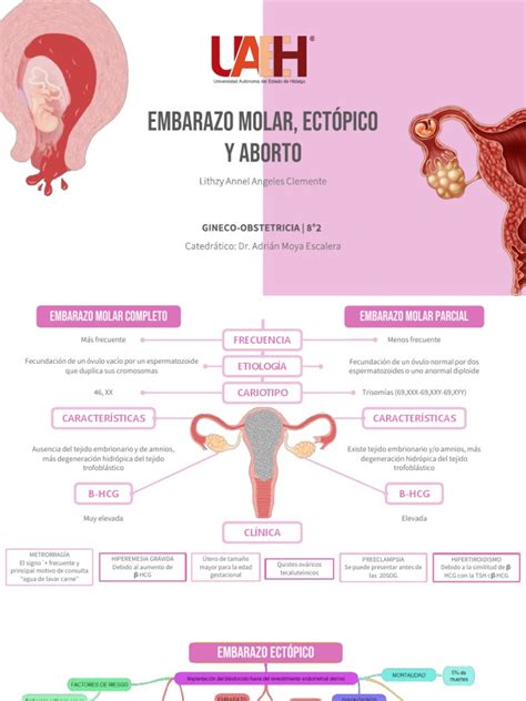 Mapa Mental Aborto Embarazo Ectópico Y Molar Pdf Pdf