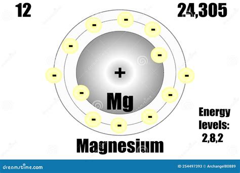 Magnesium Atom Bohr Model Cartoon Vector | CartoonDealer.com #267662111