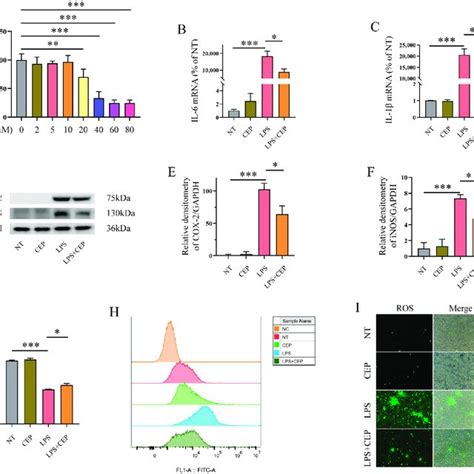 Cep Inhibits Inflammatory Response And Oxidative Stress In Lps Induced