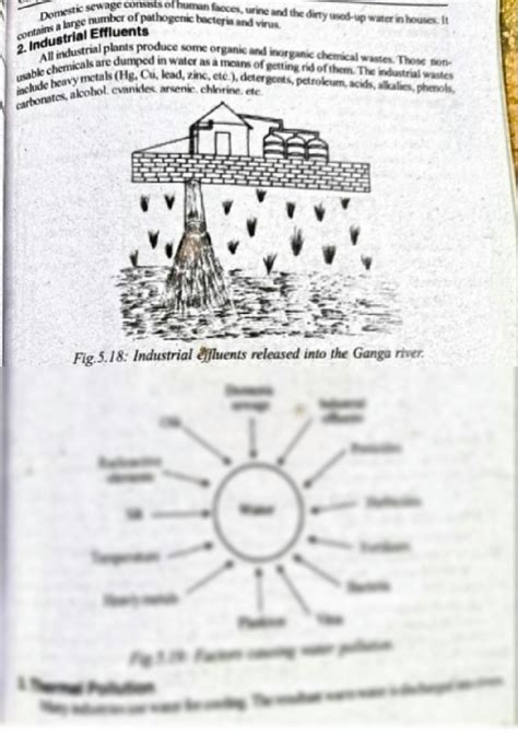 Solution Water Pollution Studypool