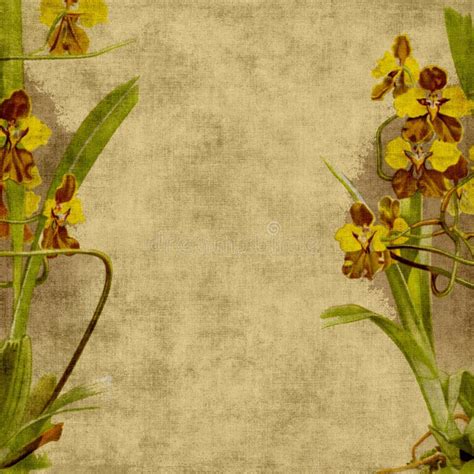 Vintage Flower Scrapbook Background Stock Illustration - Illustration ...