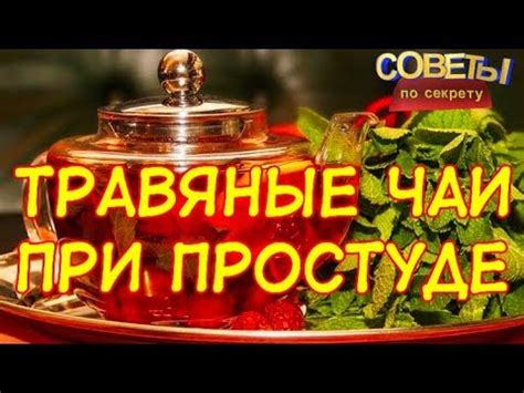 Какие травы помогут при простуде Травяные чаи при простуде - YouTube