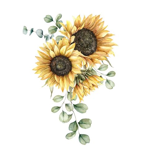 If You Can Learn How To Draw A Sunflower You Can Learn How To Draw