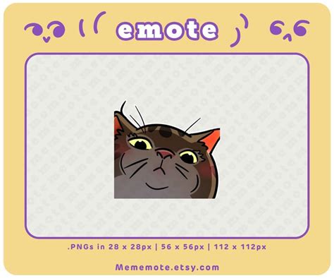 Tabby Cat Stare Meme Emote For Twitch Discord Youtube Etsy In 2024