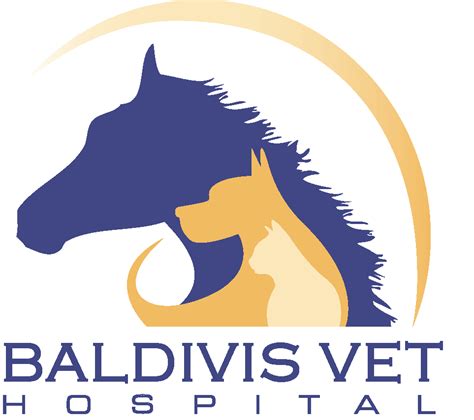 Baldivis Vet Hospital Baldivis Wa