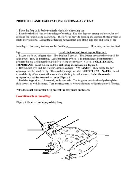 Frog Dissection Lab Answer Key