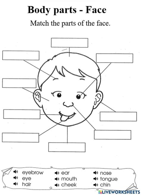 Body Parts Face Worksheet Preschool Art Activities Coloring