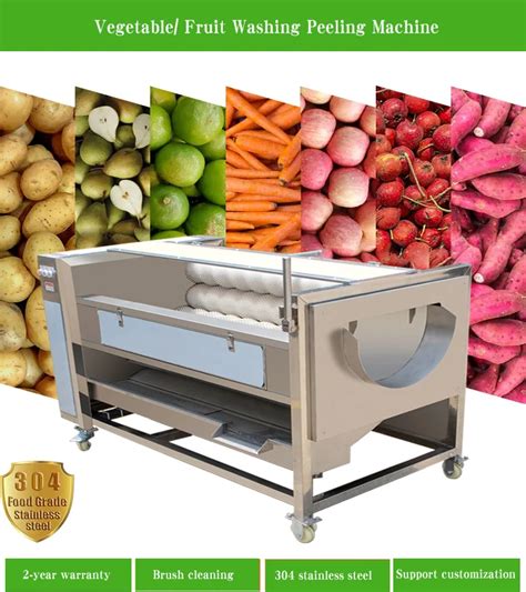 Factory Price Fully Automatic 304 Stainless Steel Brush Carrot Cassava