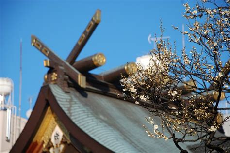 Yushima Tenjin Ume Matsuri 2025 Japan Airlines