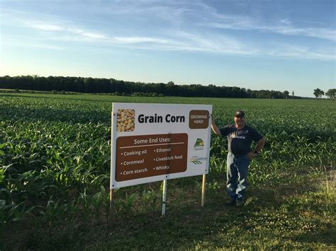 Grain Corn Ontario Federation Of Agriculture