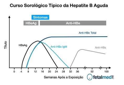 O Que O Exame Hbsag Fetalmed Medicina Fetal Em Curitiba