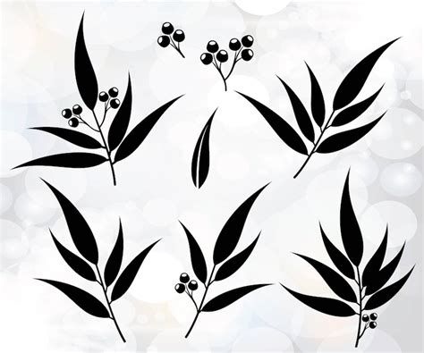 Eucalyptus Leaves SVG