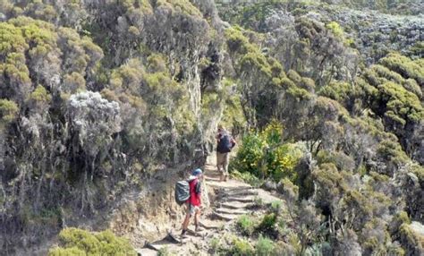 3-days climb Mt. Meru – Kilimax Adventures