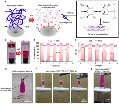 Polymers Free Full Text Electrospun Magnetic Nanofiber Mats For Magnetic Hyperthermia In