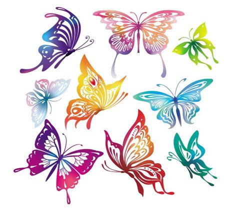 Butterfly Vector Graphics