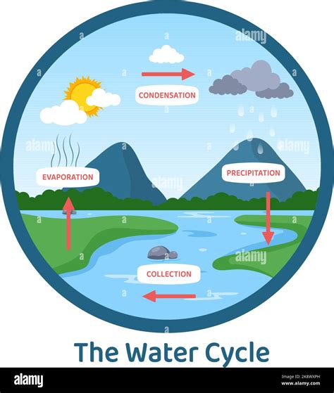 Wasserkreislauf Von Verdunstung Kondensation Niederschlag Zur