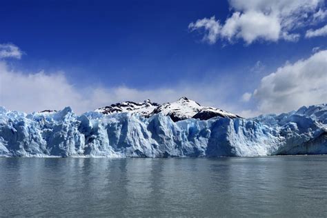 Hielos Perpetuos Clima Flora Fauna E Im Genes