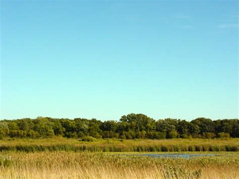 Sedge Meadows Forest Preserve Lake County Forest Preserves