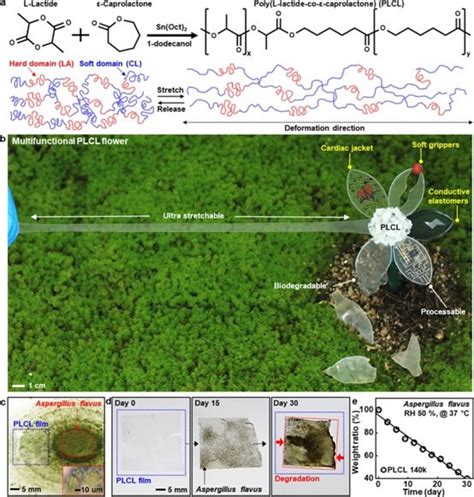 用于柔性瞬态电子的高度可拉伸、可生物降解的弹性体 系统集成商 微迷：专业mems市场调研媒体 麦姆斯咨询主办