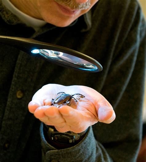 Expert Witness Series Forensic Entomologist Selfpaced Neutral