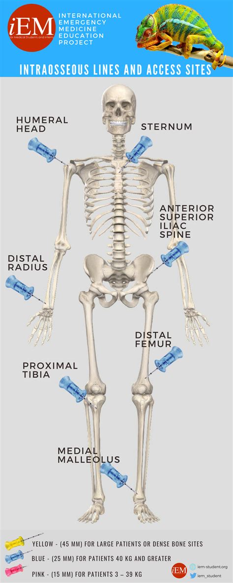 Infographics International Emergency Medicine Education Project