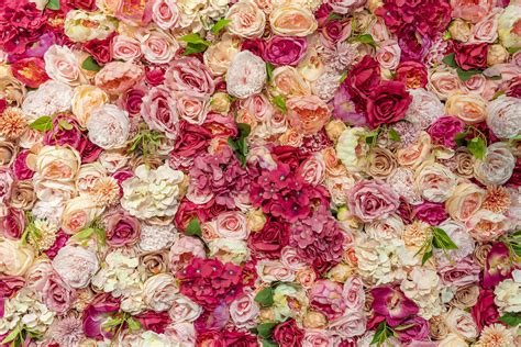 How To Make A Flower Wall Gathered