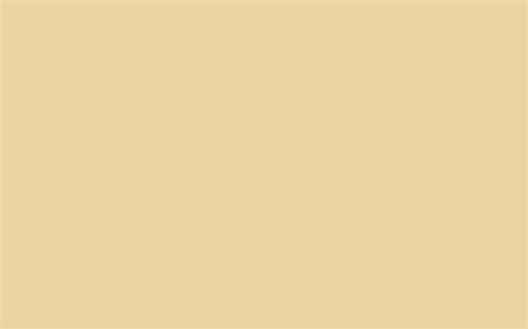 100 Cream Color Backgrounds