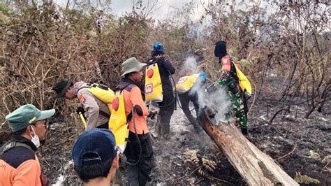 Jalur Pendakian Gunung Rinjani Via Sembalun Terancam Ditutup Gara Gara