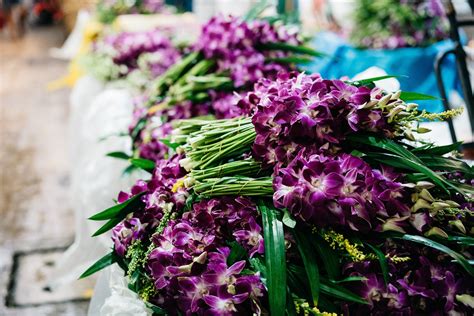 Flores Orquídeas Mercado Foto gratis en Pixabay Pixabay